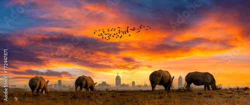 Breathtaking Sunset Over African Plains with Rhinos, Birds, and City Skyline in the Distance photo