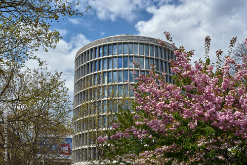 a tree blooming in spring and the facade of a modernist, round office building in the city of Poznan