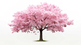 one cherry tree, pink, shady, white background  ,Generate AI