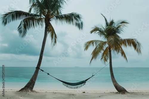 Hammock between palm trees on a serene beach