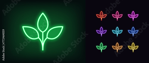 Outline neon plant leaf icon set. Glowing neon nature plant sign with leaves. Organic product, vegan green food, eco friendly, gluten free, natural bio product and quality, healthy food. Vector icons