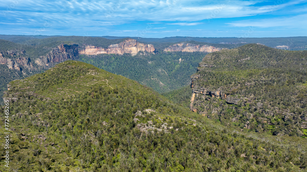 Drone aerial photograph of the lush forest foliage and cliffs in the Grose Valley in the Blue Mountains in New South Wales in Australia