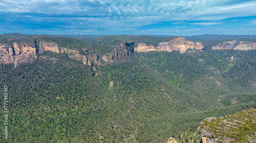 Drone aerial photograph of the lush forest foliage and cliffs in the Grose Valley in the Blue Mountains in New South Wales in Australia