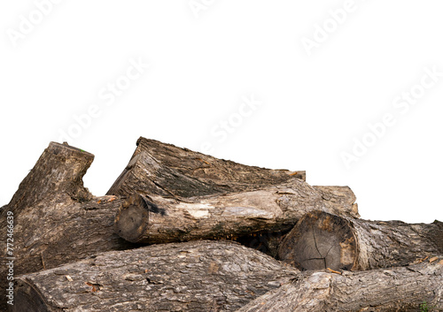 Pieces of tree trunks arranged against an isolated background