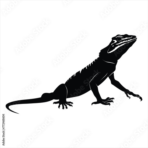 Bearded Dragon Silhouette