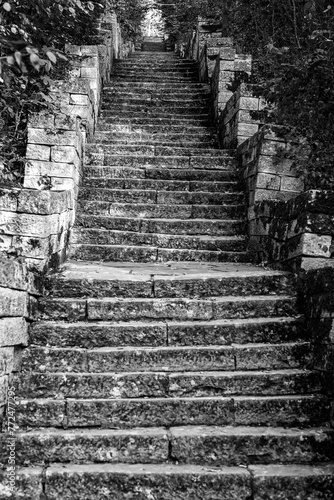 Many stone stairs in the park. Black and white