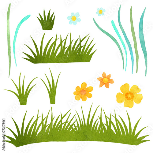Set of watercolor spring grass and flowers. Clipart on white background. High quality illustration