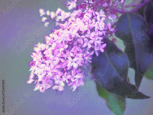 details of flowering tree branch with blurred background