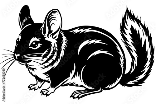 chinchilla-icon-vector-illustration