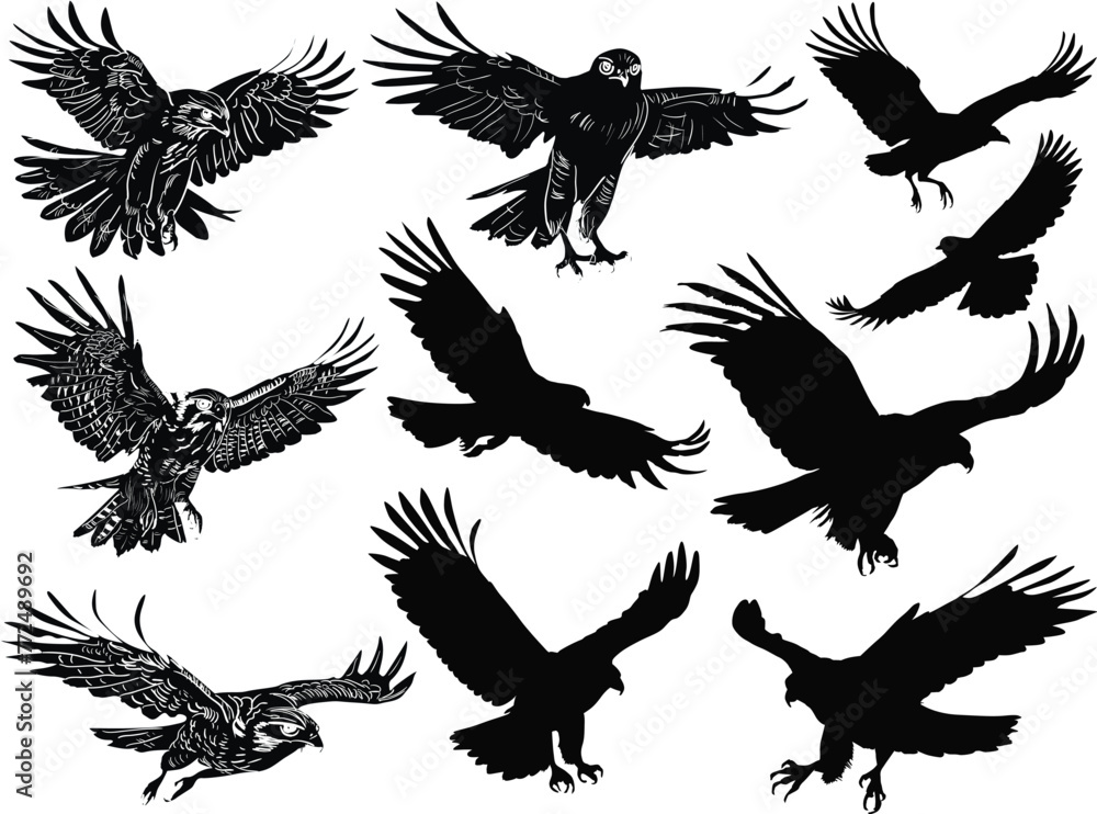 Obraz premium ten birds collection isolated on white