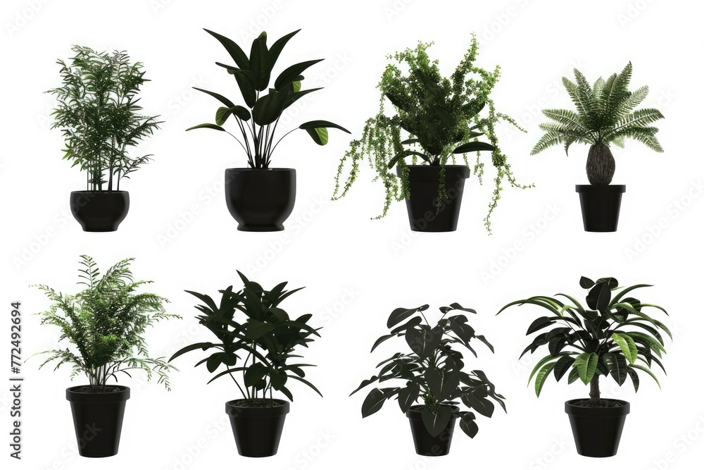 A set of six potted plants on a white background. Perfect for home decor projects