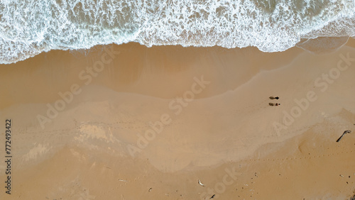 Couple walking on a golden sand beach. Aerial view. Waves on the beach. Footprints marked in the sand on the beach. Drone photography for travel agency. travel photography