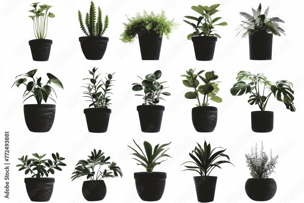 Various potted plants displayed on a clean white background. Ideal for botanical concepts or interior design themes Various potted plants displayed on a clean white background. Ideal for botanical concepts or interior design themes