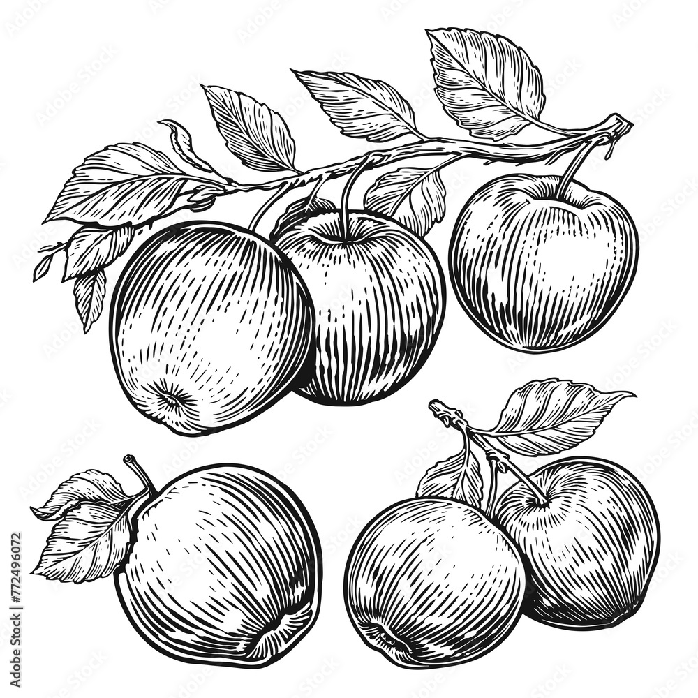 Hand drawn apples set. Fruits sketch. Black and white illustration - obrazy, fototapety, plakaty 