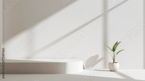 Minimalist Elegance  Single Houseplant Casting Soft Shadows on a White Wall