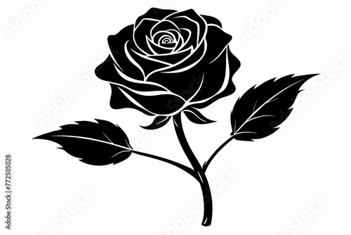 Rose vector illustration silhouette black