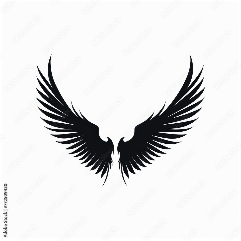 black wings white background isolated black wings white background isolated