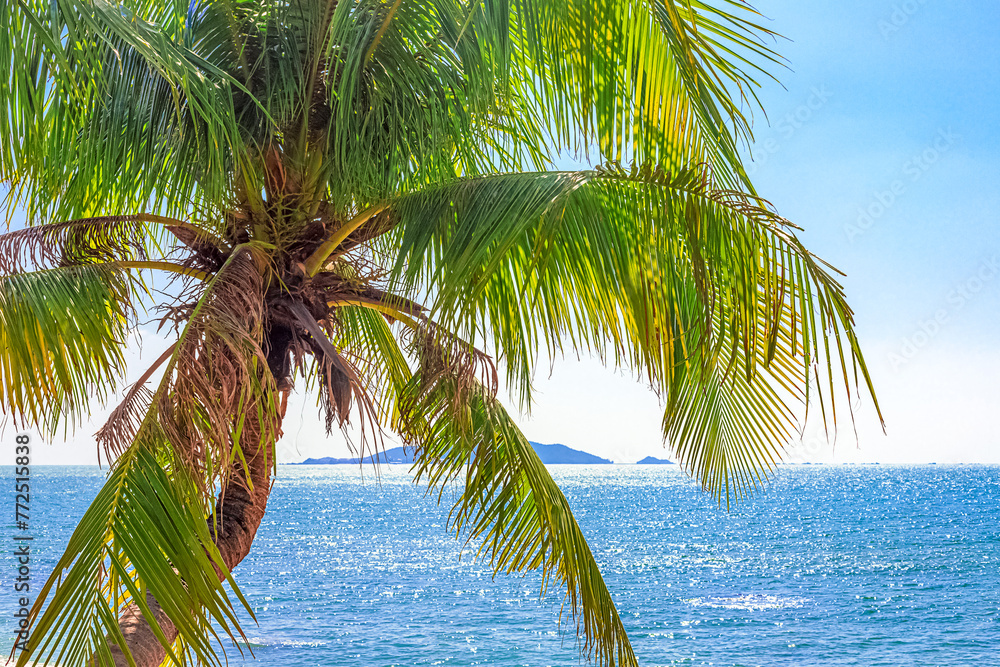 Naklejka premium View of the coastline of the South China Sea through palm trees. Sanya China, Park Heavenly Grottoes