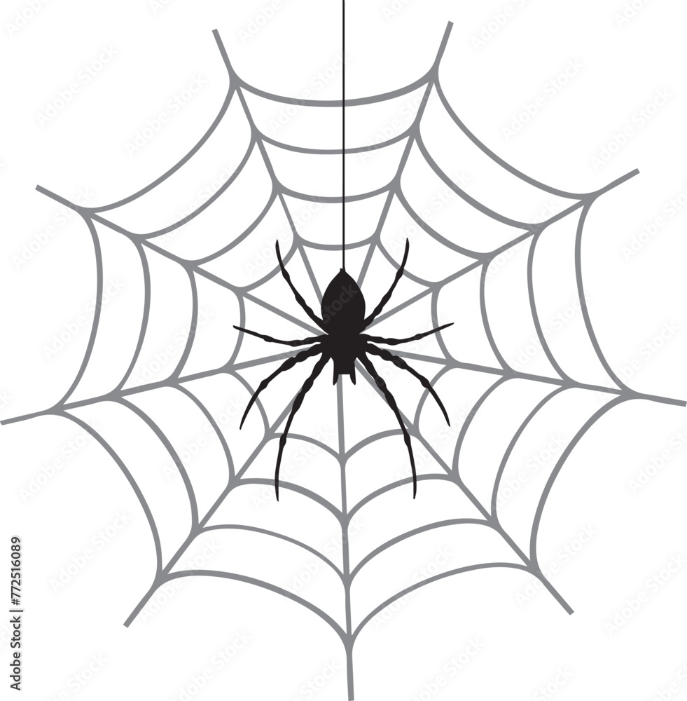 Obraz premium spider and web insect Halloween