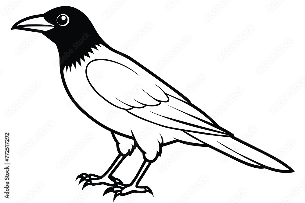 A black crow line art vector illustration A black crow line art vector illustration