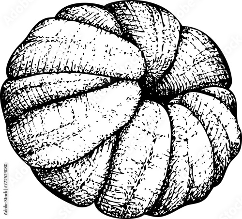 Hand-drawn tangerine illustration. Citrus fruit vector sketch. Exotic plant botanical drawing