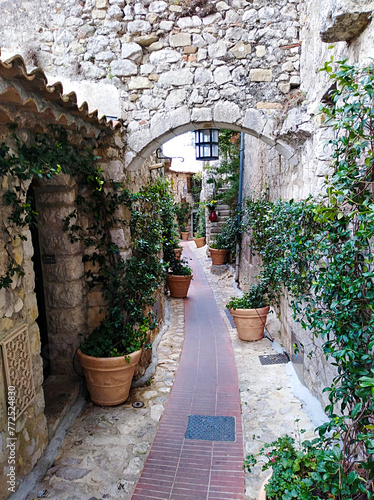 Fototapeta Naklejka Na Ścianę i Meble -  view of the narrow streets and stone houses of eze village in the french riviera