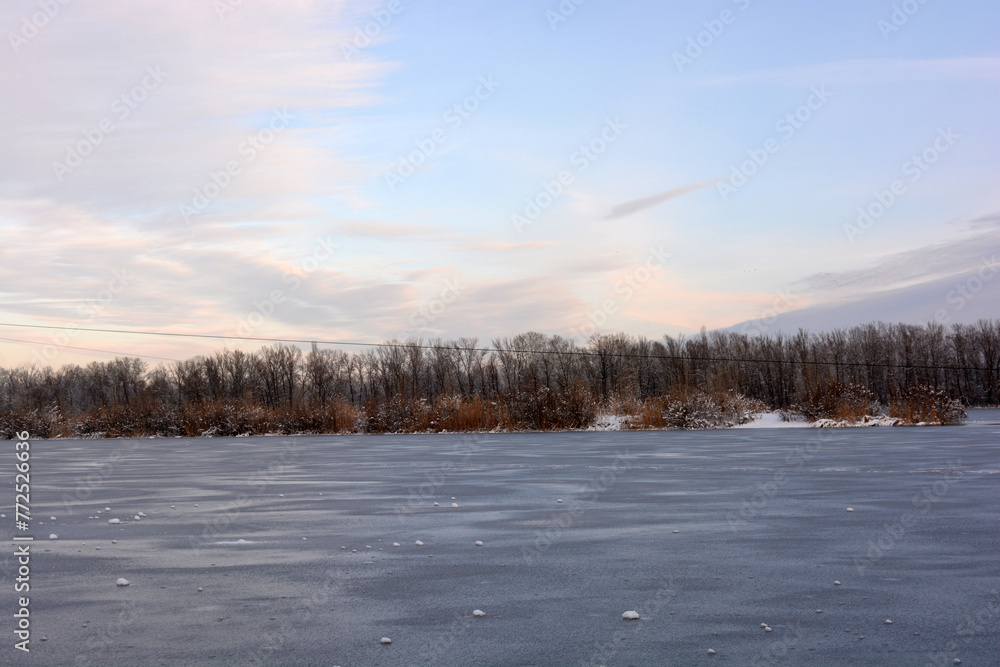 Beautiful and unusual winter nature, the frozen and covered with thick ice Dnipro River with white snow, trees, dry golden ice. Beautiful and unusual winter nature, the frozen and covered with thick ice Dnipro River with white snow, trees, dry golden ice.