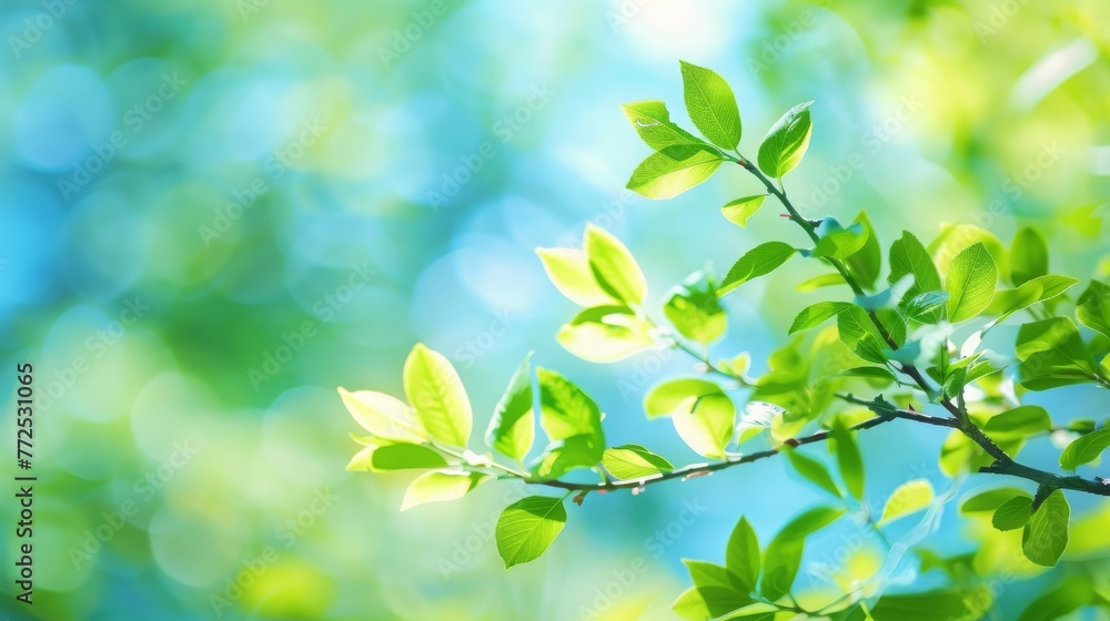 Summer background of blue and green, blurred foilage and sky with bright bokeh. Blurry abstract summer background. Natural green leaves using as cover page greenery environment ecology background Summer background of blue and green, blurred foilage and sky with bright bokeh. Blurry abstract summer background. Natural green leaves using as cover page greenery environment ecology background