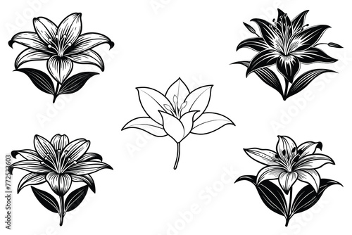 Lotus flowers silhouettes set vector illustration