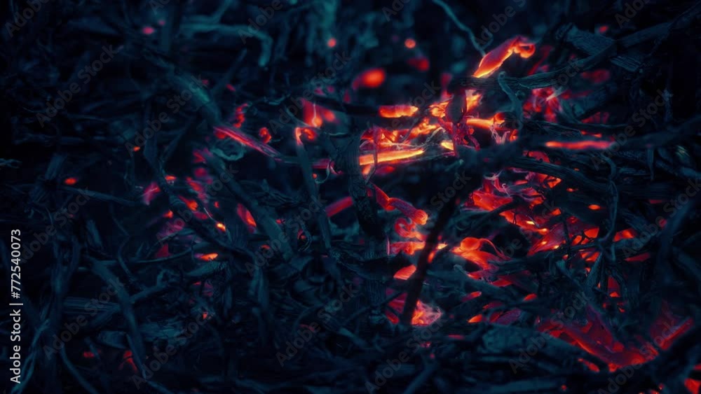 Glowing Fire Embers In The Dark Glowing Fire Embers In The Dark