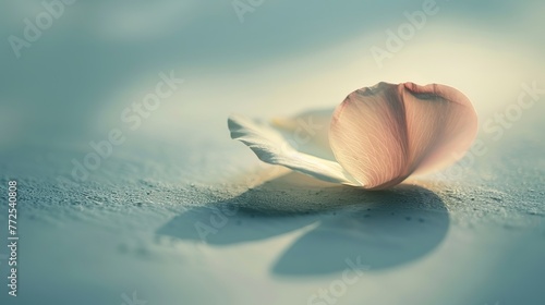 A minimalist composition featuring a single delicate flower petal resting on a smooth surface, with soft natural lighting casting subtle shadows, real photo ai generated images photo
