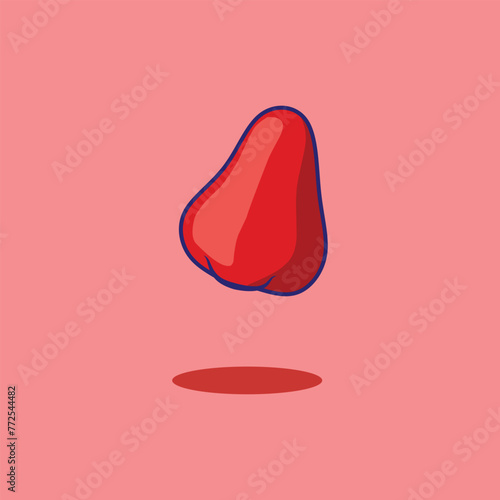 Rose apple fruit or water apple vector illustration. Suitable for sticker  coloring book and graphic design elements.