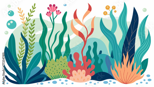 Sea Decoration  Seaweed Vector Illustratio 