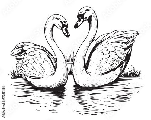 Two swans swimming in the pond hand drawn sketch in doodle style illustration