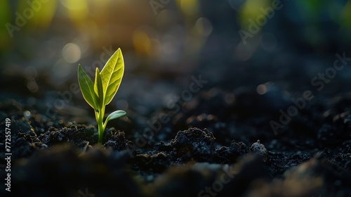 Plant growth, business concept background - Closeup of growing little green sprout appearing from the ground. Awakening of the nature in spring, illuminated by the sun generative ai