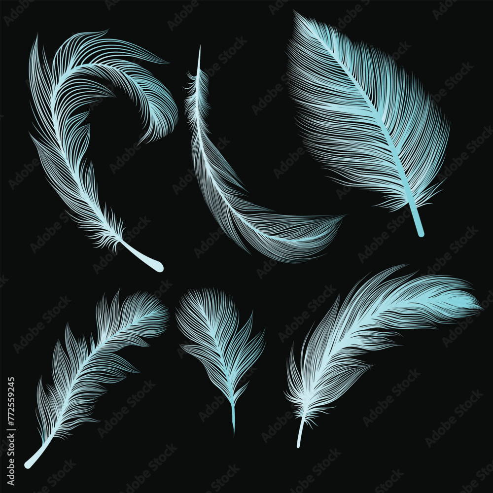 Obraz premium Vector Fluffy feathers set water color