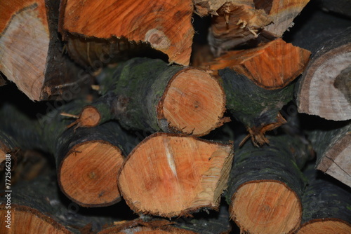 Large firewood from cherry plum tree close-up