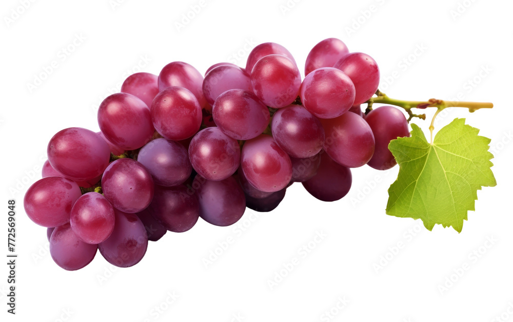 A cluster of grapes, ripened to perfection, hangs gracefully from a slender vine branch A cluster of grapes, ripened to perfection, hangs gracefully from a slender vine branch