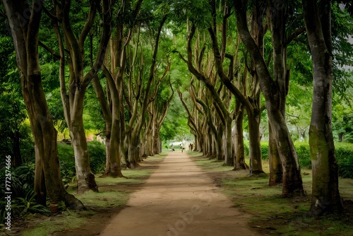 Scenic pathways meander through Thailands serene public parks