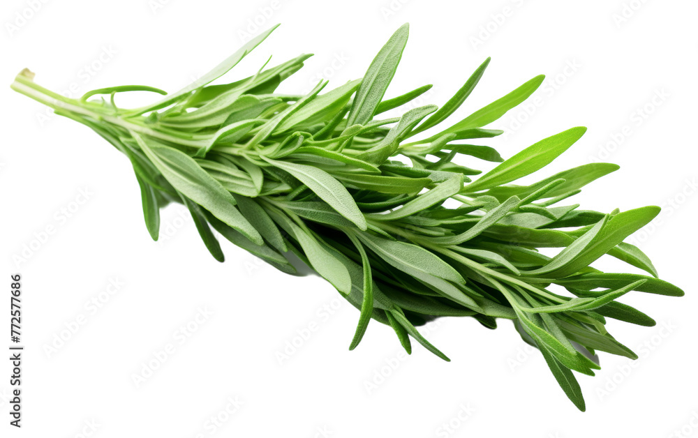 Fototapeta premium A cluster of vibrant green leaves delicately resting on a pristine white backdrop