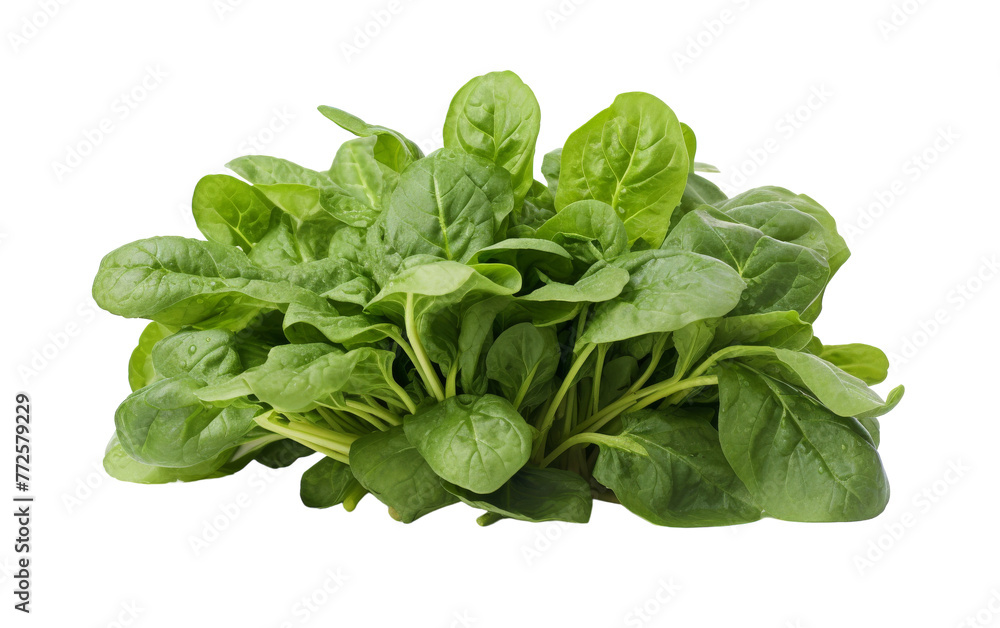A vibrant cluster of green leaves dances gracefully on a pristine white canvas A vibrant cluster of green leaves dances gracefully on a pristine white canvas