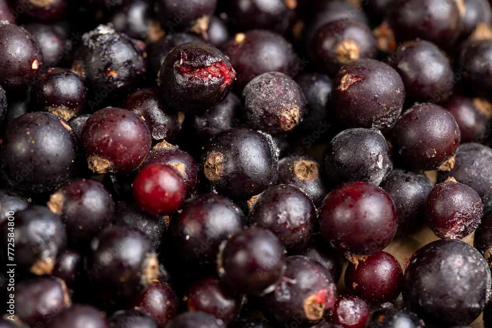fresh frozen currants for long-term storage fresh frozen currants for long-term storage