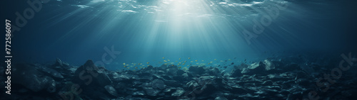 Underwater Sunlight and Fish over Rocky Seabed photo