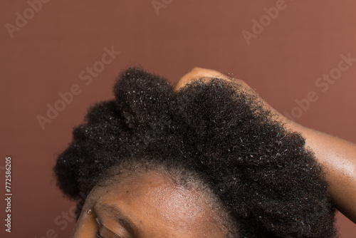 Black afro curly hair with shrinkage, Wet Type 4c hair being detangled photo