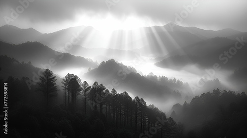 Mountain morning - black and white - trees - fog - clouds - mist - hazy  photo