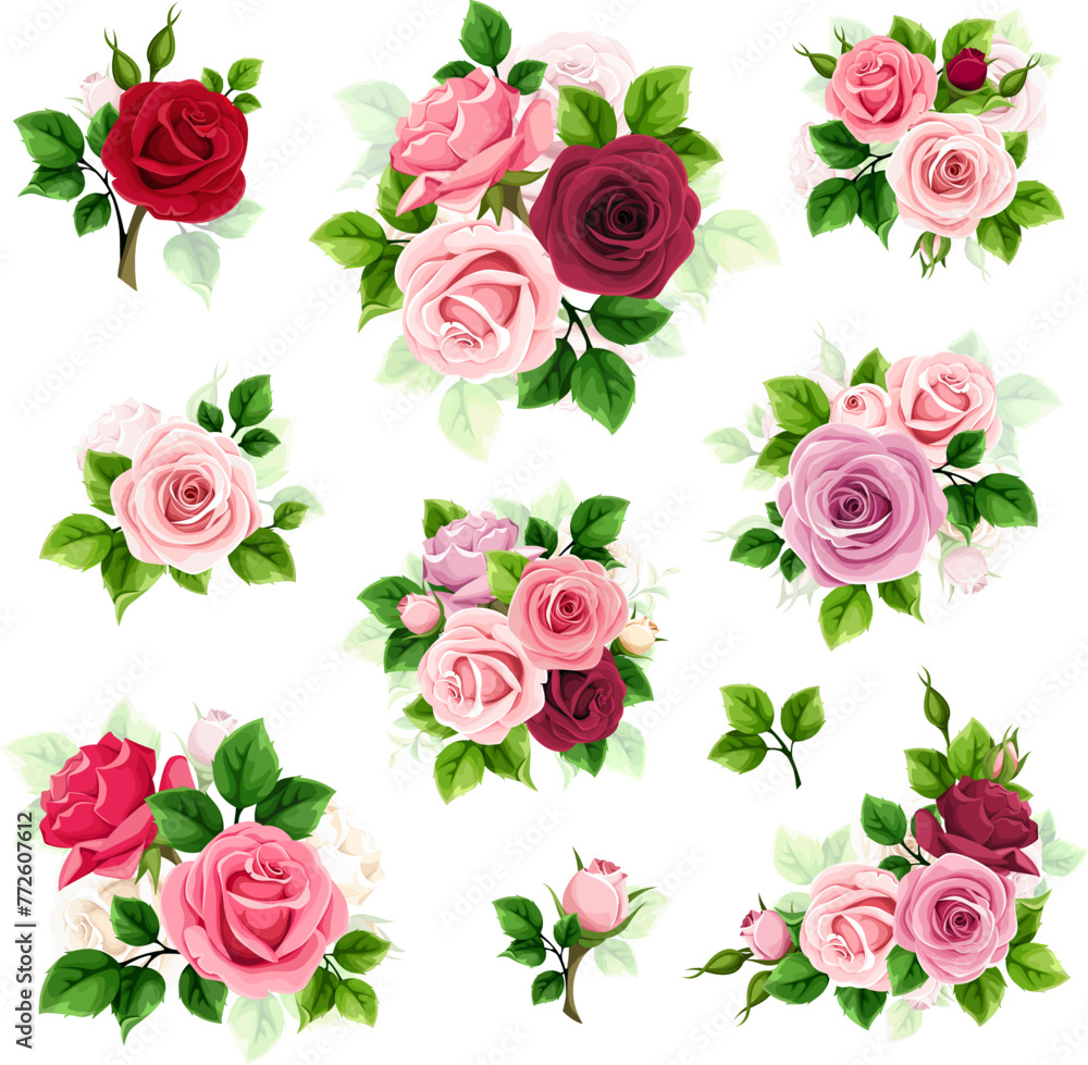 Roses. Set of colorful roses isolated on a white background. Red, pink, purple, and white roses. Set of vector floral design elements Roses. Set of colorful roses isolated on a white background. Red, pink, purple, and white roses. Set of vector floral design elements