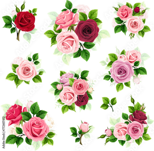 Roses. Set of colorful roses isolated on a white background. Red, pink, purple, and white roses. Set of vector floral design elements