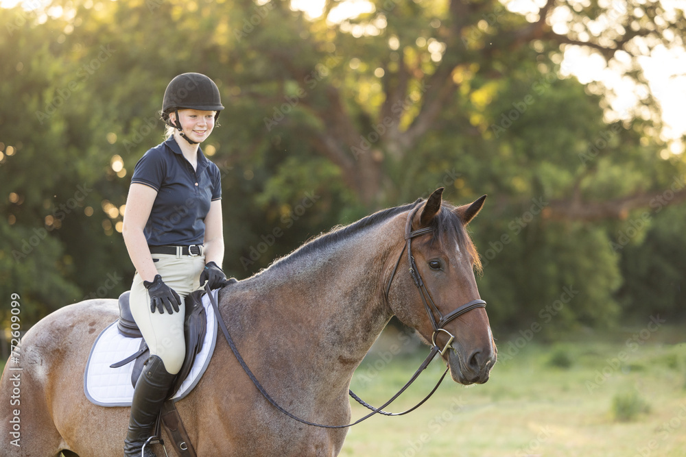 Equestrian portraits on a roan bay horse riding in English Tack hunter jumper eventing