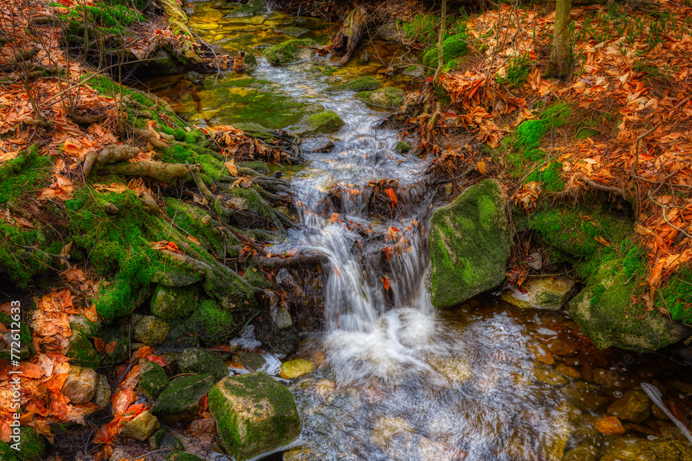 Spring at Ricketts Glen State Park in Benton PA.  Known for its 21 waterfalls and old-growth forest and boulders.  Hiking the loop on a cold Spring Day.   - obrazy, fototapety, plakaty 