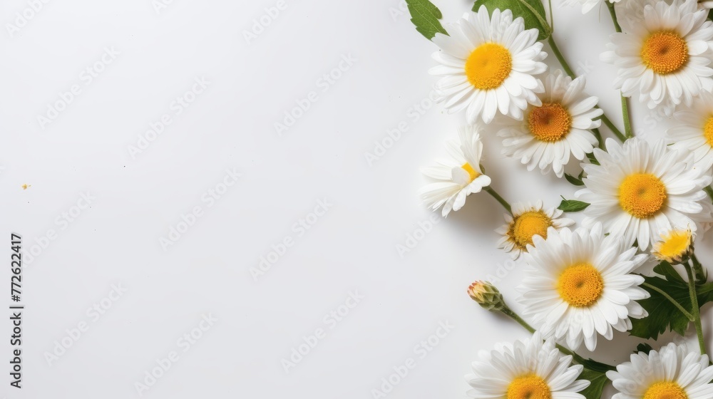 Fototapeta premium Daisy Flower Decoration on a White Background, Perfect for Wedding Design. Generative AI